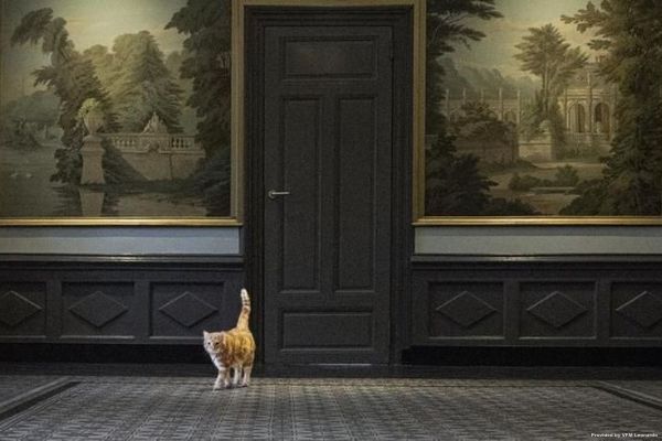 Hotel Buitenplaats Vaeshartelt (Maastricht)